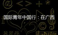 國際青年中國行：在廣西感受中國—東盟開放合作新動能