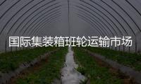 國際集裝箱班輪運輸市場：存在較大變數