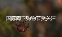 國際陶衛(wèi)購物節(jié)受關注