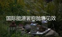國際能源署稱拋售見效