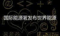 國際能源署發布世界能源展望中國特別報告