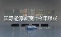 國際能源署預計今年煤炭需求將重回歷史高位