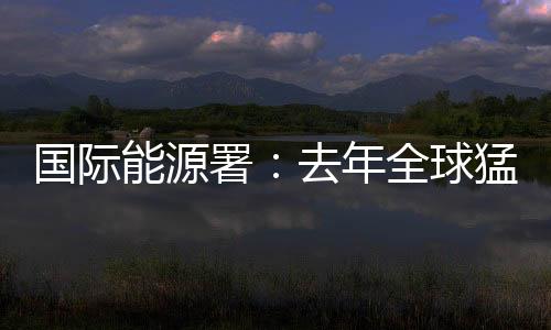 國際能源署：去年全球猛增50%！最大增長在中國