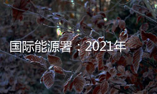 國際能源署：2021年全球煤炭消費需求可能增長2.6%