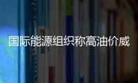 國(guó)際能源組織稱(chēng)高油價(jià)威脅全球經(jīng)濟(jì)復(fù)蘇