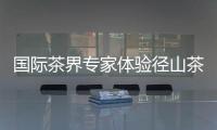 國際茶界專家體驗(yàn)徑山茶宴 共話茶文化互鑒合作