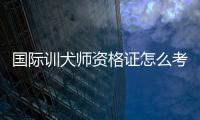 國際訓犬師資格證怎么考，訓犬師資格證怎么考