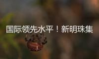 國際領先水平！新明珠集團又一科技成果通過鑒定
