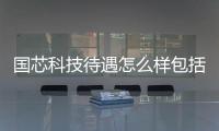 國(guó)芯科技待遇怎么樣包括國(guó)芯科技設(shè)計(jì)軟件怎么樣的具體內(nèi)容