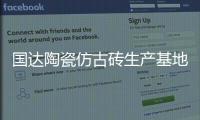 國達陶瓷仿古磚生產基地（信達廠）順利點火