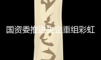 國資委推進央企重組彩虹集團整體并入中國電子