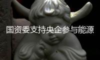 國資委支持央企參與能源國際合作