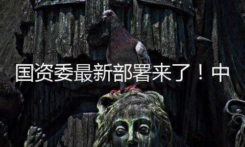 國資委最新部署來了！中央企業如何實現一季度“開門紅”