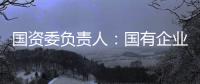 國資委負(fù)責(zé)人：國有企業(yè)分類宜粗不宜細(xì)