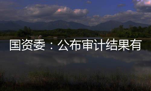 國資委：公布審計結果有助央企健康可持續發展