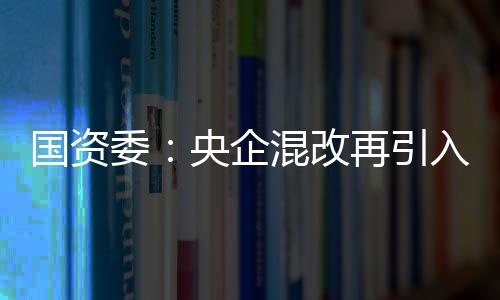 國資委：央企混改再引入社會資本超1800億元