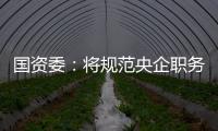 國資委：將規范央企職務消費 加強薪酬福利管理