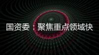 國(guó)資委：聚焦重點(diǎn)領(lǐng)域快投盡投 布局利長(zhǎng)遠(yuǎn)重大項(xiàng)目