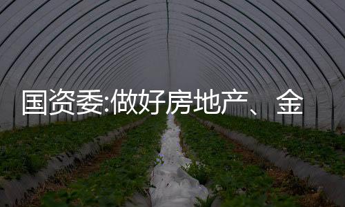 國資委:做好房地產(chǎn)、金融等領(lǐng)域風(fēng)險(xiǎn)防控