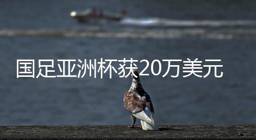 國足亞洲杯獲20萬美元保底獎金