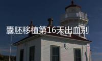 囊胚移植第16天出血別著急!這3大應對措施請收好
