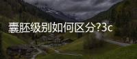 囊胚級別如何區(qū)分?3cb和3bc等級相仿,有移植需要