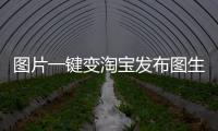 圖片一鍵變淘寶發(fā)布圖生技術(shù)框架AtomoVideo