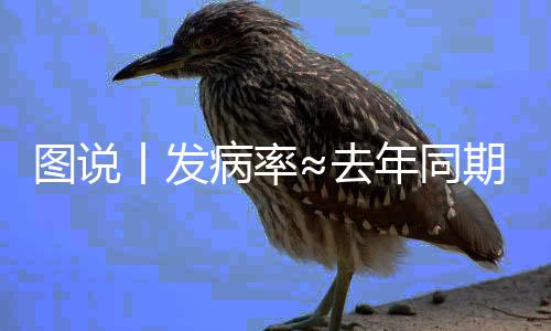 圖說丨發病率≈去年同期的23倍！八問百日咳為你解疑