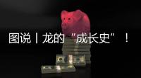 圖說丨龍的“成長史”！中國古代“龍文物”大賞