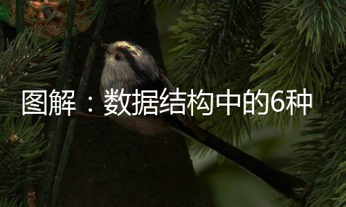 圖解：數(shù)據(jù)結(jié)構(gòu)中的6種「樹」，檸檬問你心中有數(shù)嗎？