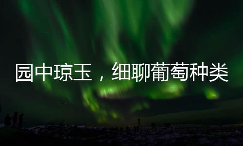 園中瓊玉，細聊葡萄種類