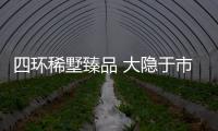 四環稀墅臻品 大隱于市的寶藏墅區