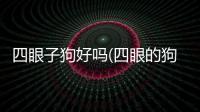 四眼子狗好嗎(四眼的狗狗)
