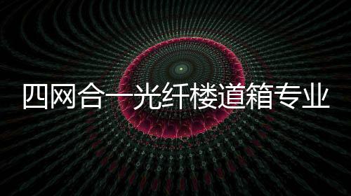 四網合一光纖樓道箱專業生產廠家