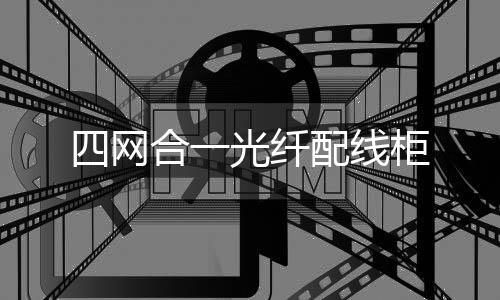 四網(wǎng)合一光纖配線柜