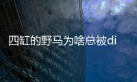 四缸的野馬為啥總被diss？簡析Mustang 2.3T