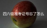 四六級準考證號忘了怎么查分數（四六級查分準考證號忘了怎么辦）