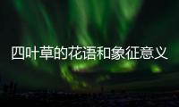 四葉草的花語和象征意義（四葉草的花語星座）