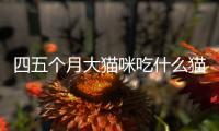 四五個月大貓咪吃什么貓糧？四五個月大貓咪吃什么貓糧好