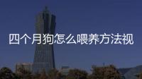 四個月狗怎么喂養方法視頻？4個半月的狗狗怎么喂最好
