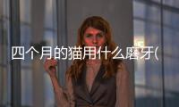 四個(gè)月的貓用什么磨牙(金毛四個(gè)月屬于什么階段)