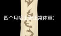 四個月哈士奇正常體重(四個月的哈士奇正常體重是多少)
