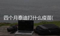 四個月泰迪打什么疫苗(被四個月泰迪抓破了 用打疫苗嗎)
