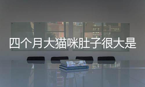 四個月大貓咪肚子很大是怎么回事啊？四個月貓咪肚子大什么原因