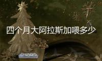 四個(gè)月大阿拉斯加喂多少狗糧(四個(gè)月阿拉斯加一天吃多少狗糧)