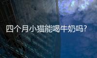 四個月小貓能喝牛奶嗎?(四個月的貓能喝牛奶嗎)