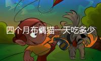 四個月布偶貓一天吃多少貓糧(四個月布偶貓吃多少貓糧)