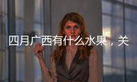 四月廣西有什么水果，關于四月廣西詳細情況