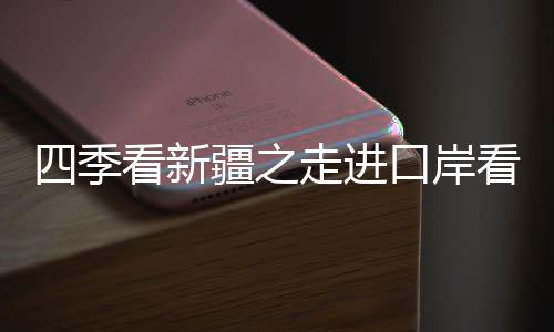 四季看新疆之走進口岸看新疆丨喀什：古城勁吹開放風