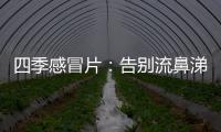 四季感冒片：告別流鼻涕，重拾清新！